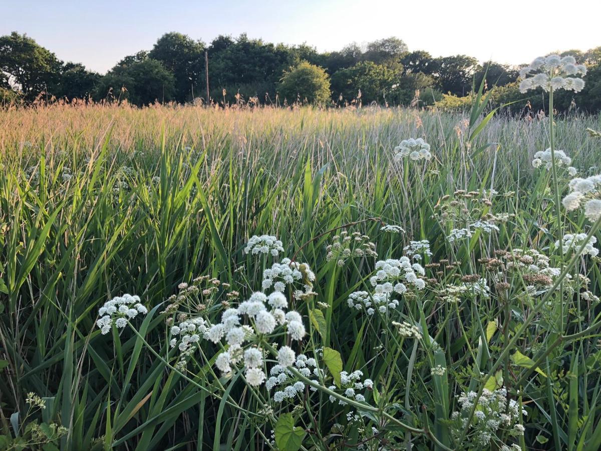 Secret Garden Glamping Hotell Lymington Eksteriør bilde